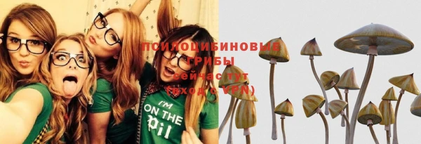 ГАЛЛЮЦИНОГЕННЫЕ ГРИБЫ Армянск