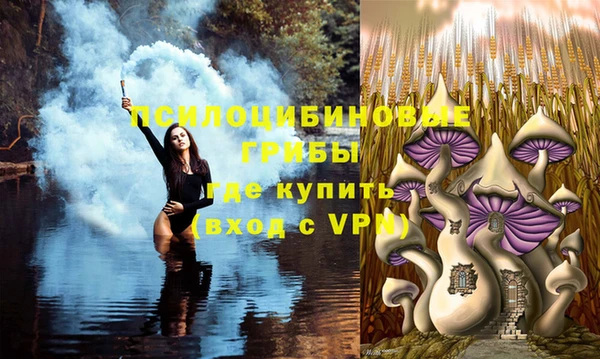 экстази Арсеньев