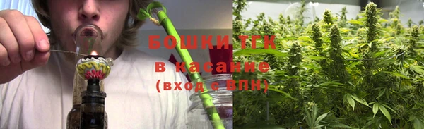 экстази Арсеньев